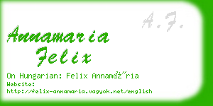 annamaria felix business card